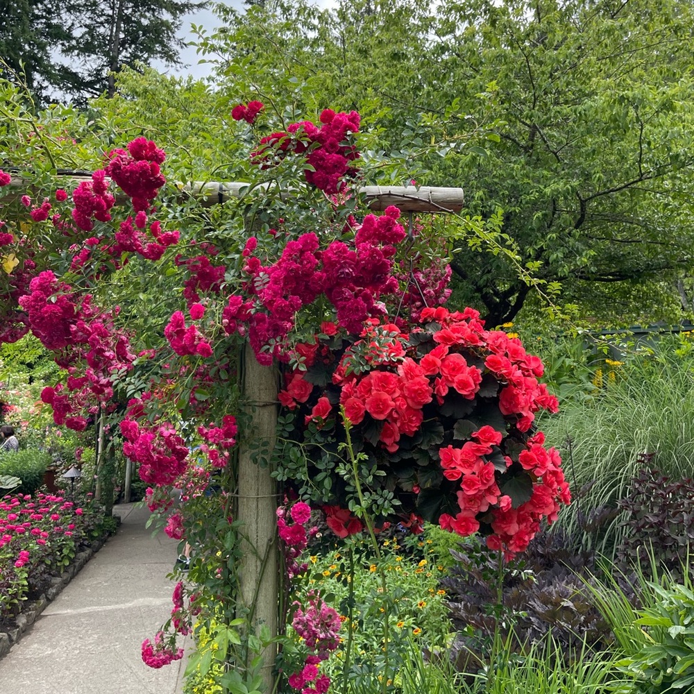 listings after this are sold